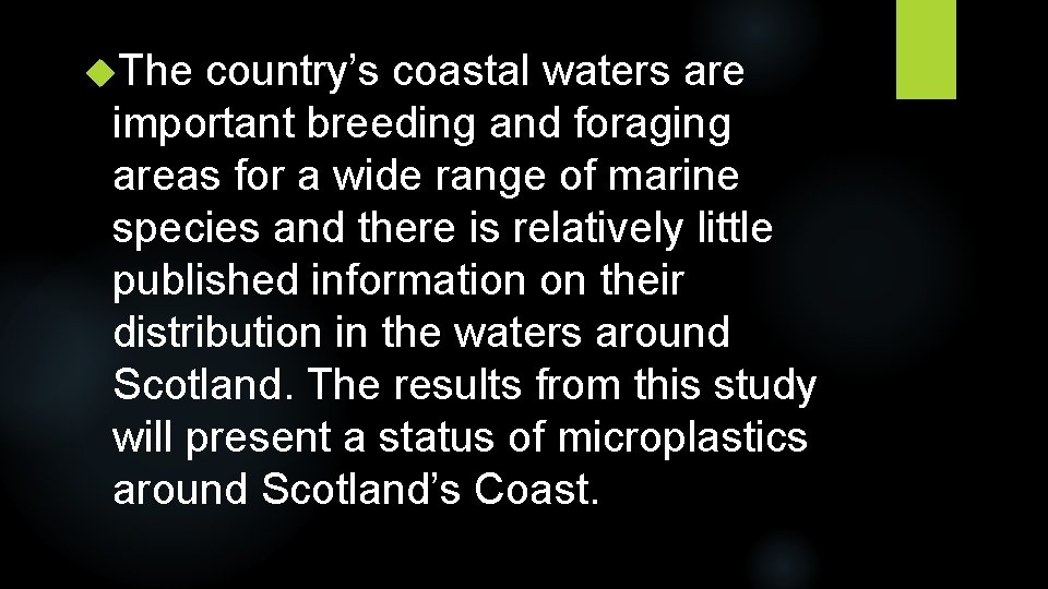  The country’s coastal waters are important breeding and foraging areas for a wide