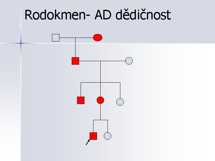 Rodokmen- AD dědičnost 