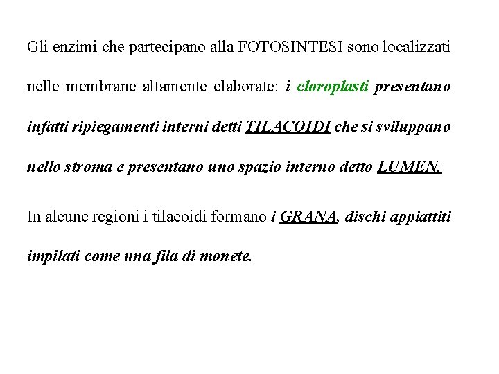 Gli enzimi che partecipano alla FOTOSINTESI sono localizzati nelle membrane altamente elaborate: i cloroplasti