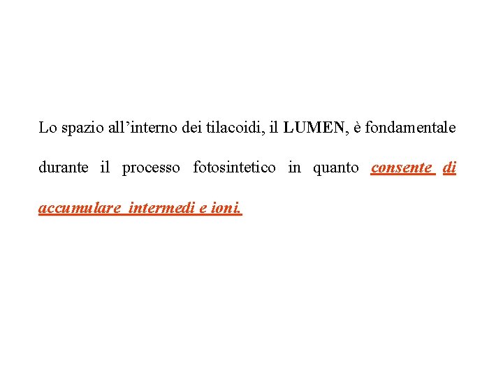Lo spazio all’interno dei tilacoidi, il LUMEN, è fondamentale durante il processo fotosintetico in