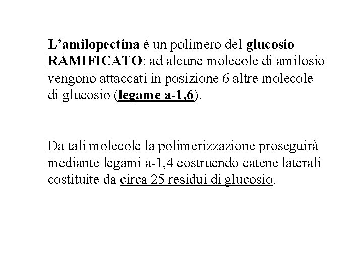 L’amilopectina è un polimero del glucosio RAMIFICATO: ad alcune molecole di amilosio vengono attaccati