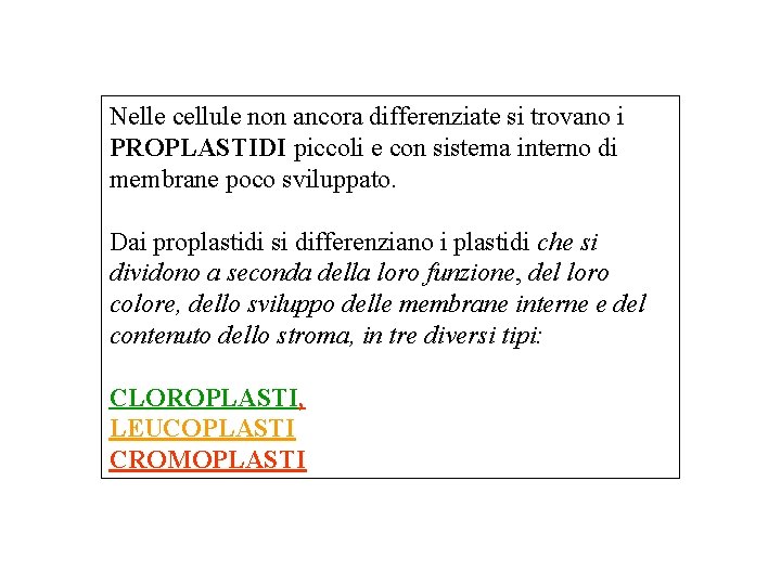 Nelle cellule non ancora differenziate si trovano i PROPLASTIDI piccoli e con sistema interno
