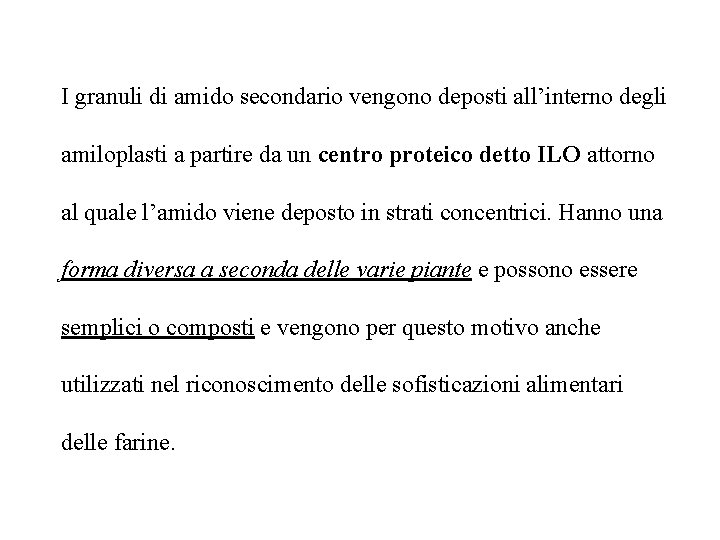 I granuli di amido secondario vengono deposti all’interno degli amiloplasti a partire da un