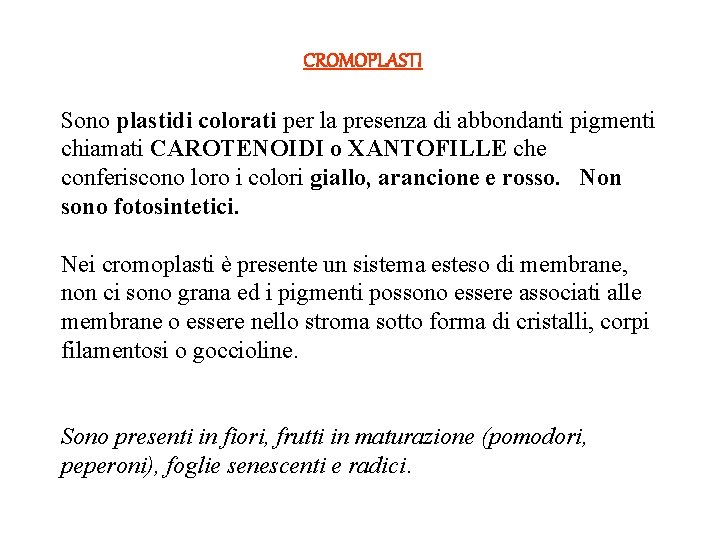 CROMOPLASTI Sono plastidi colorati per la presenza di abbondanti pigmenti chiamati CAROTENOIDI o XANTOFILLE