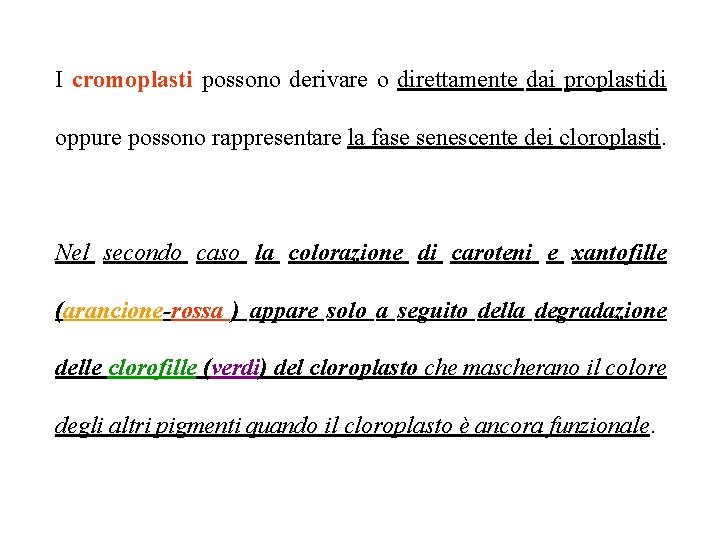 I cromoplasti possono derivare o direttamente dai proplastidi oppure possono rappresentare la fase senescente