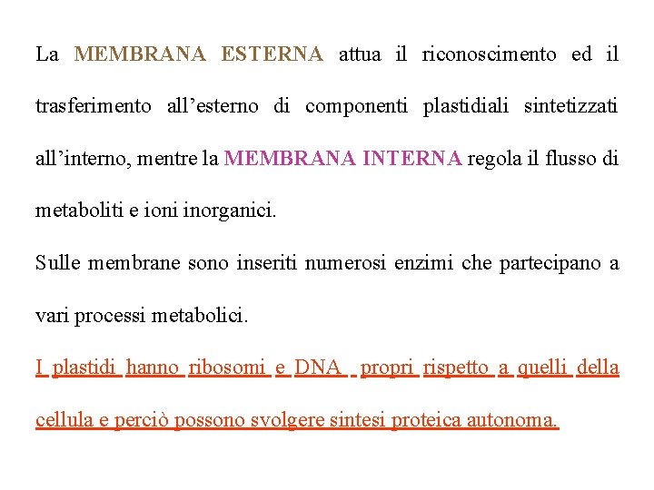 La MEMBRANA ESTERNA attua il riconoscimento ed il trasferimento all’esterno di componenti plastidiali sintetizzati