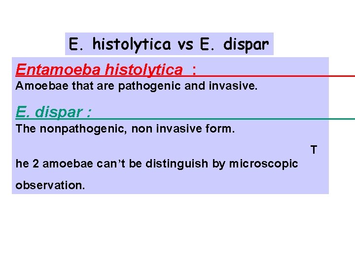 E. histolytica vs E. dispar Entamoeba histolytica : Amoebae that are pathogenic and invasive. E. histolytica vs E. dispar Entamoeba histolytica : Amoebae that are pathogenic and invasive.