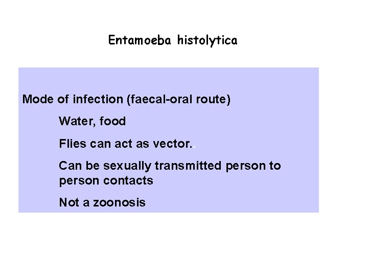 Entamoeba histolytica Mode of infection (faecal-oral route) Water, food Flies can act as vector. Entamoeba histolytica Mode of infection (faecal-oral route) Water, food Flies can act as vector.