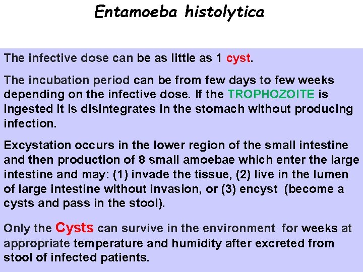 Entamoeba histolytica The infective dose can be as little as 1 cyst. The incubation Entamoeba histolytica The infective dose can be as little as 1 cyst. The incubation
