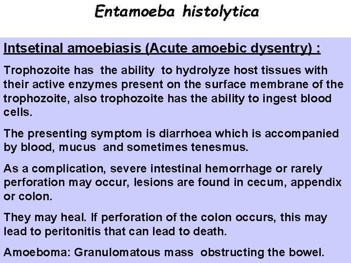 Entamoeba histolytica Intsetinal amoebiasis (Acute amoebic dysentry) : Trophozoite has the ability to hydrolyze Entamoeba histolytica Intsetinal amoebiasis (Acute amoebic dysentry) : Trophozoite has the ability to hydrolyze
