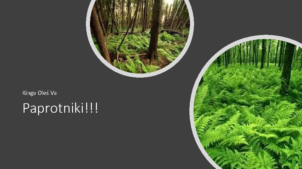 Kinga Oleś Va Paprotniki!!! 