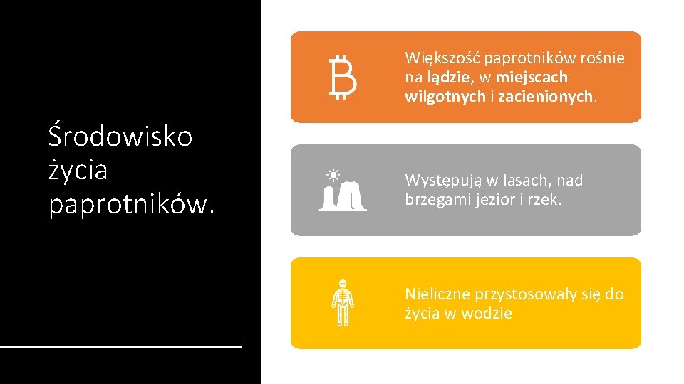 Większość paprotników rośnie na lądzie, w miejscach wilgotnych i zacienionych. Środowisko życia paprotników. Występują