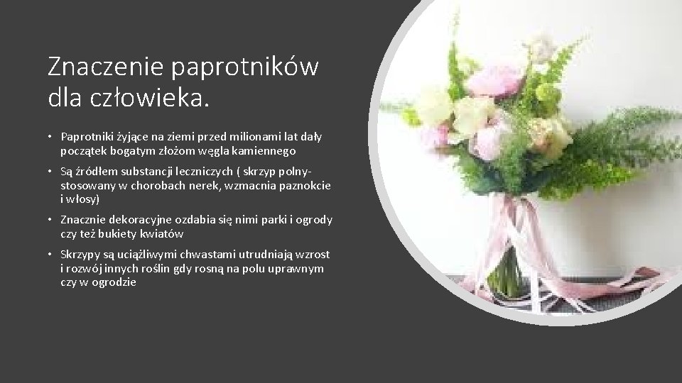 Znaczenie paprotników dla człowieka. • Paprotniki żyjące na ziemi przed milionami lat dały początek