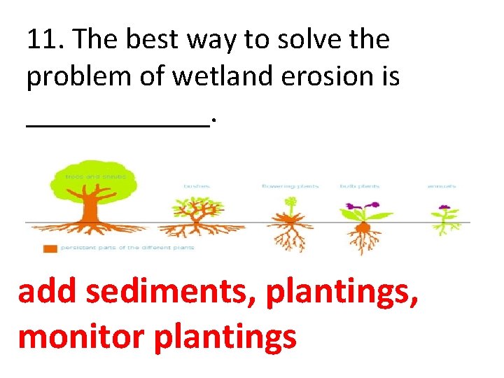 11. The best way to solve the problem of wetland erosion is ______. add