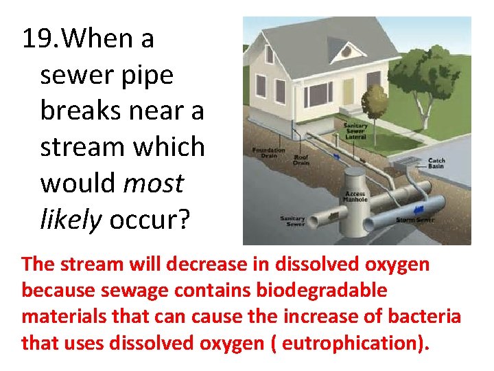19. When a sewer pipe breaks near a stream which would most likely occur?