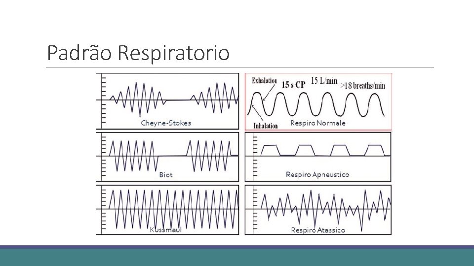 Padrão Respiratorio 