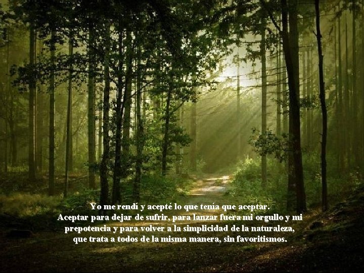 Yo me rendí y acepté lo que tenía que aceptar. Aceptar para dejar de Yo me rendí y acepté lo que tenía que aceptar. Aceptar para dejar de