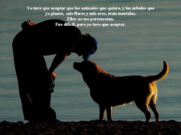 Yo tuve que aceptar que los animales que quiero, y los árboles que yo Yo tuve que aceptar que los animales que quiero, y los árboles que yo