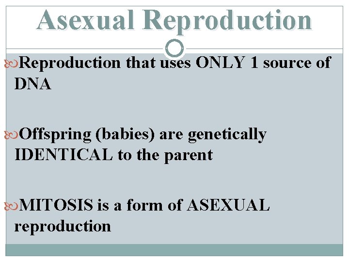 Asexual Reproduction that uses ONLY 1 source of DNA Offspring (babies) are genetically IDENTICAL