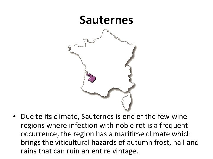 Sauternes • Due to its climate, Sauternes is one of the few wine regions
