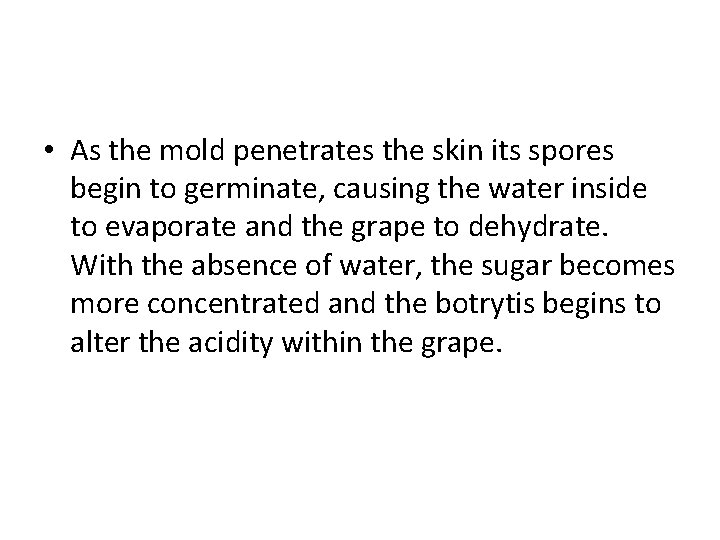  • As the mold penetrates the skin its spores begin to germinate, causing