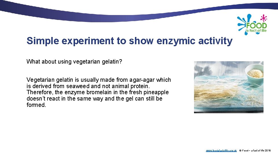 Simple experiment to show enzymic activity What about using vegetarian gelatin? Vegetarian gelatin is
