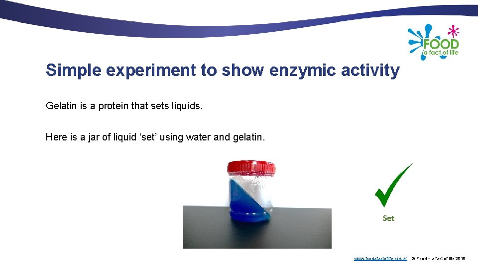 Simple experiment to show enzymic activity Gelatin is a protein that sets liquids. Here