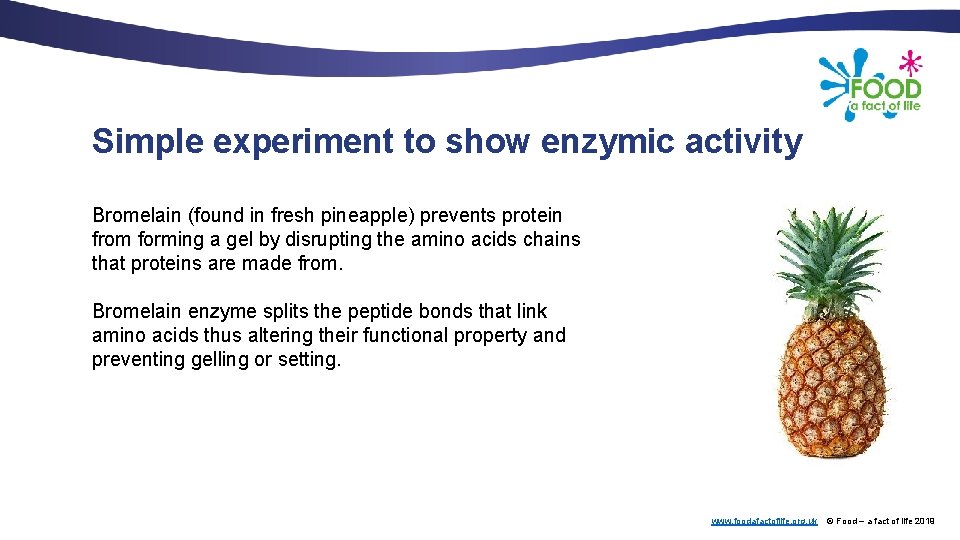 Simple experiment to show enzymic activity Bromelain (found in fresh pineapple) prevents protein from