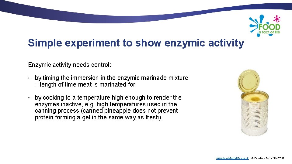 Simple experiment to show enzymic activity Enzymic activity needs control: • by timing the