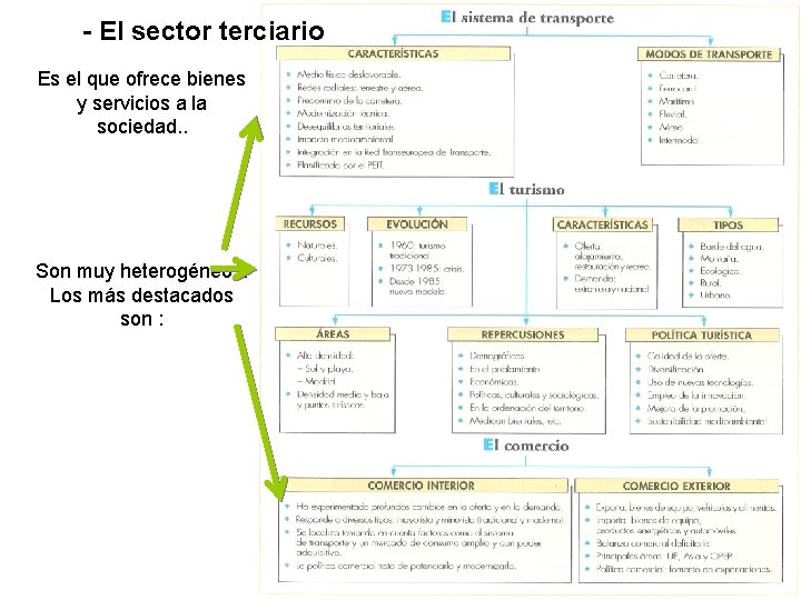 - El sector terciario Es el que ofrece bienes y servicios a la sociedad. - El sector terciario Es el que ofrece bienes y servicios a la sociedad.