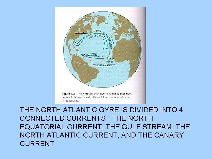 THE NORTH ATLANTIC GYRE IS DIVIDED INTO 4 CONNECTED CURRENTS - THE NORTH EQUATORIAL