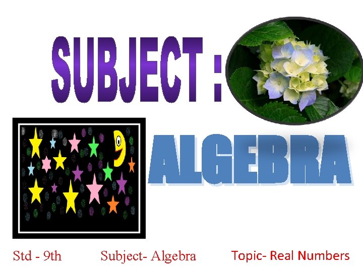 ALGEBRA Std - 9 th Subject- Algebra Topic- Real Numbers 