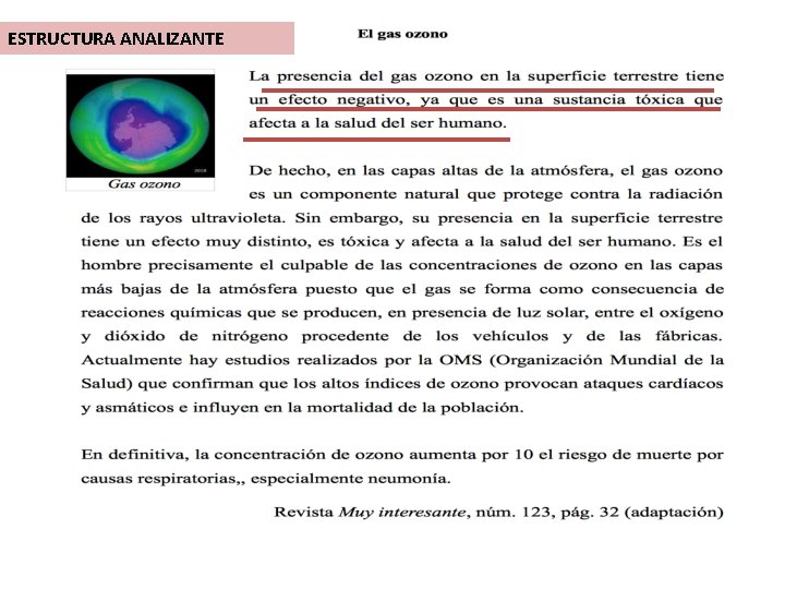 ESTRUCTURA ANALIZANTE 