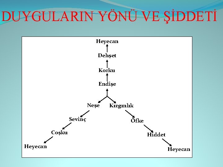 DUYGULARIN YÖNÜ VE ŞİDDETİ Heyecan Dehşet Korku Endişe Neşe Sevinç Coşku Heyecan Kızgınlık Öfke