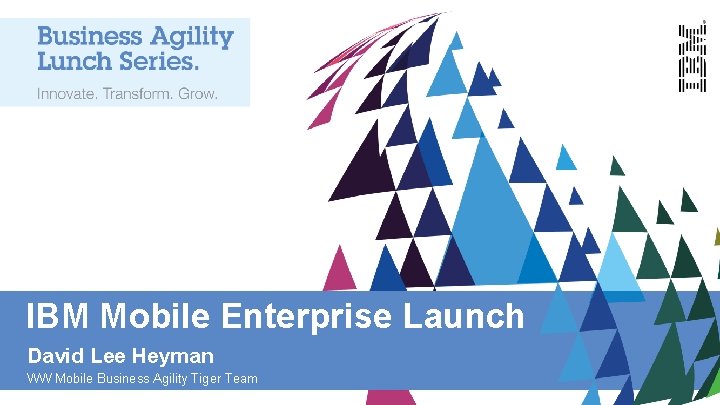 IBM Mobile Enterprise Launch David Lee Heyman WW Mobile Business Agility Tiger Team 