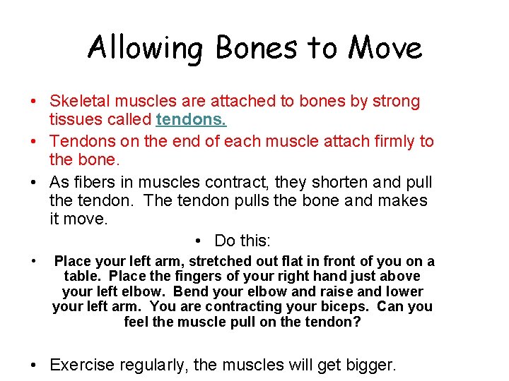 Allowing Bones to Move • Skeletal muscles are attached to bones by strong tissues