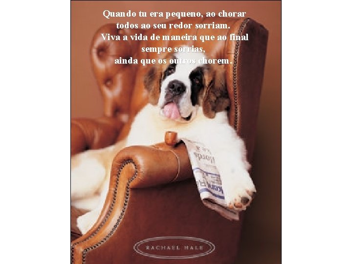 Quando tu era pequeno, ao chorar todos ao seu redor sorriam. Viva a vida Quando tu era pequeno, ao chorar todos ao seu redor sorriam. Viva a vida