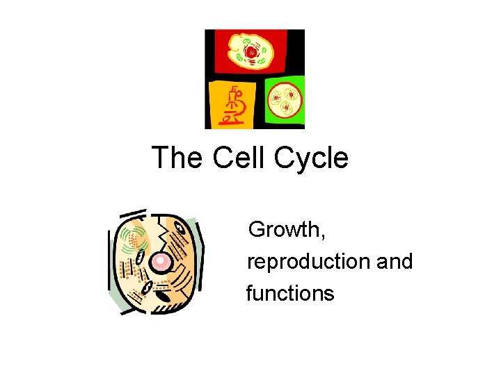 The Cell Cycle Growth, reproduction and functions 