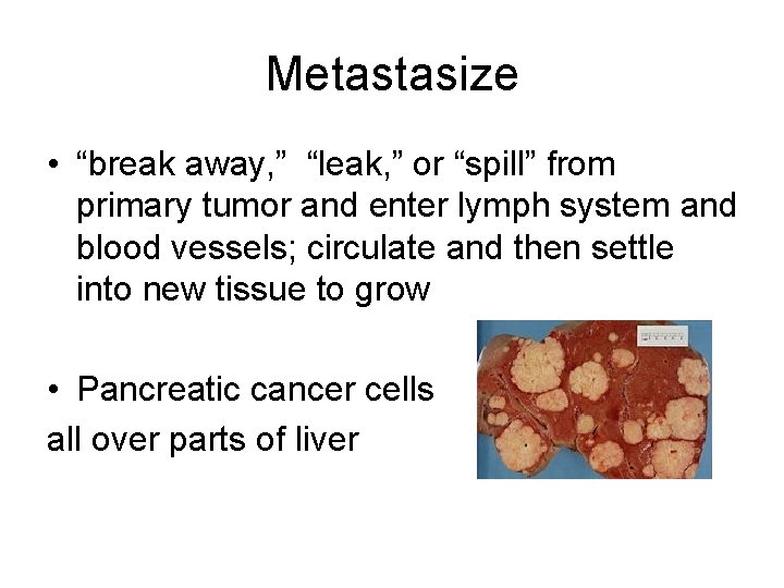 Metastasize • “break away, ” “leak, ” or “spill” from primary tumor and enter