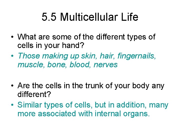 5. 5 Multicellular Life • What are some of the different types of cells