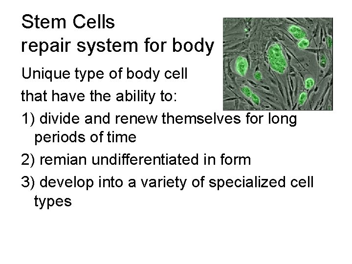 Stem Cells repair system for body Unique type of body cell that have the