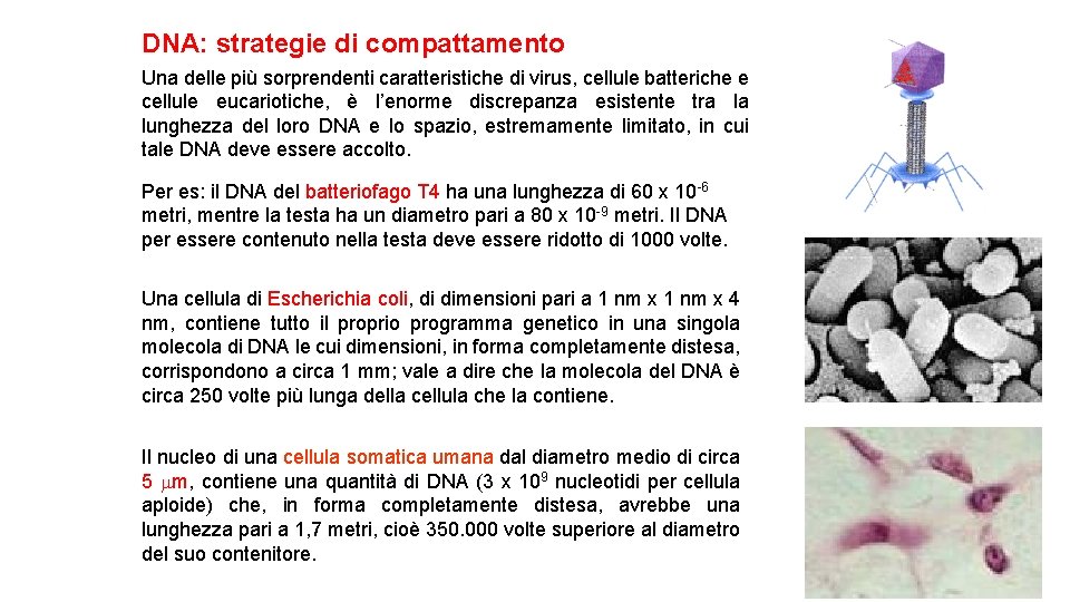 slidetodoc com