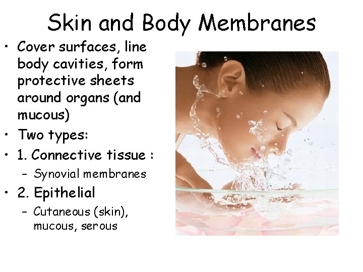 Skin and Body Membranes • Cover surfaces, line body cavities, form protective sheets around