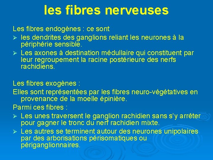  les fibres nerveuses Les fibres endogènes : ce sont Ø les dendrites des