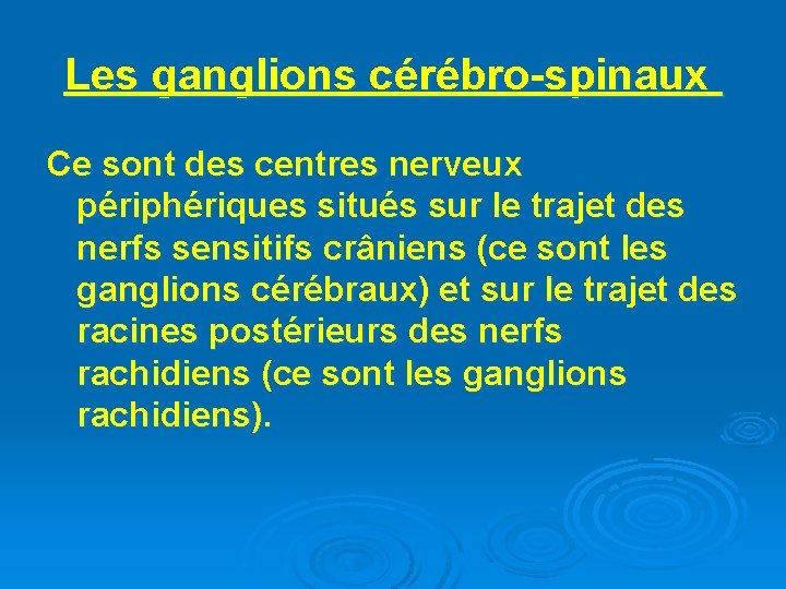 Les ganglions cérébro-spinaux Ce sont des centres nerveux périphériques situés sur le trajet des