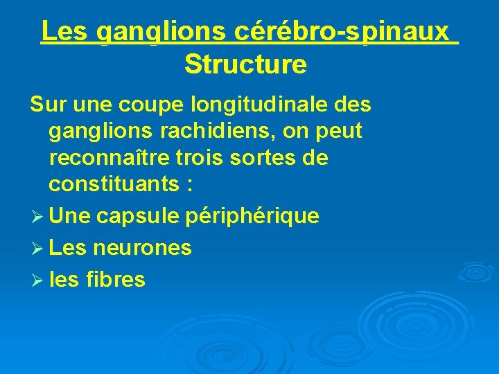 Les ganglions cérébro-spinaux Structure Sur une coupe longitudinale des ganglions rachidiens, on peut reconnaître