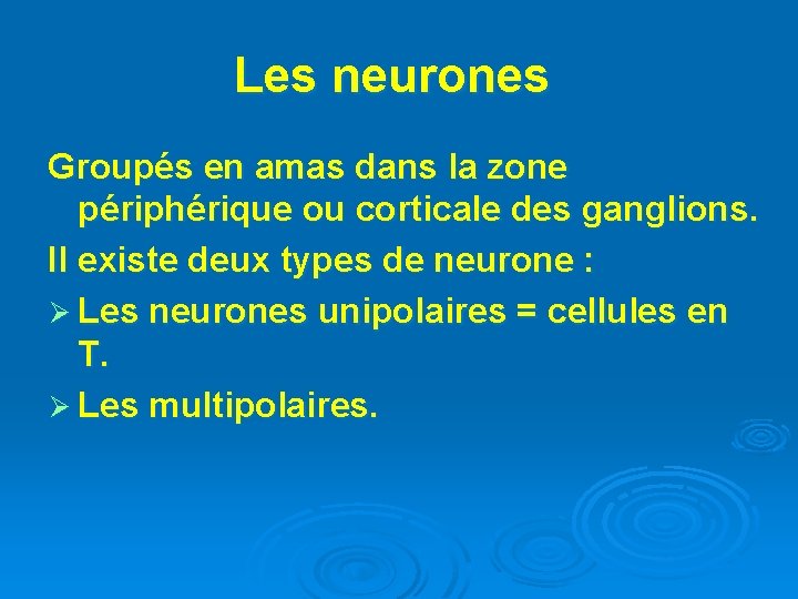 Les neurones Groupés en amas dans la zone périphérique ou corticale des ganglions. Il