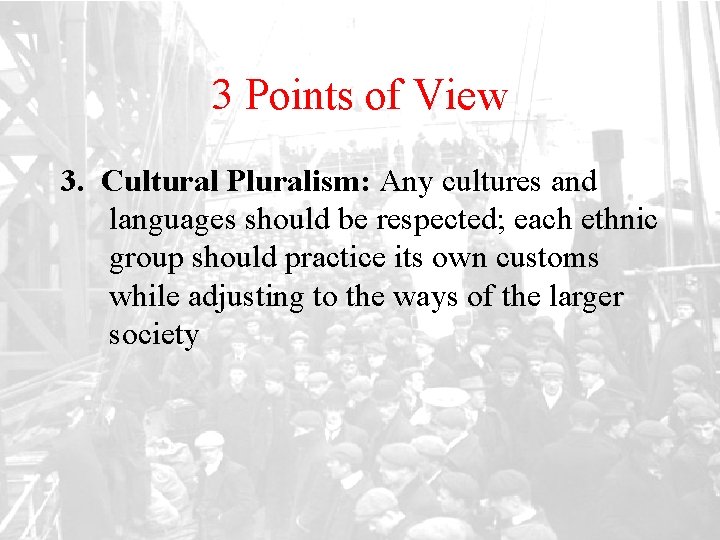 3 Points of View 3. Cultural Pluralism: Any cultures and languages should be respected;