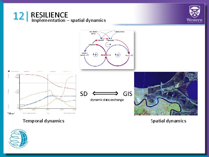 RESILIENCE 12| Implementation – spatial dynamics SD Temporal dynamics GIS dynamic data exchange Spatial