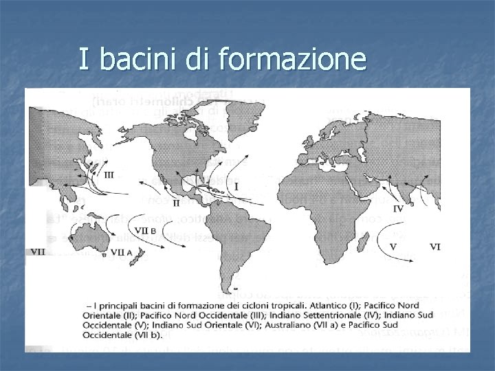 I bacini di formazione 